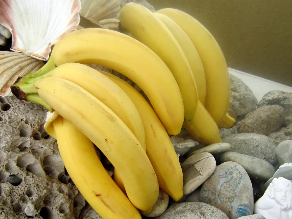 Banana ♥  moćna hrana