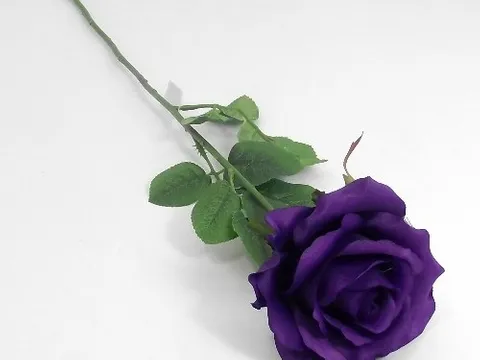 Ljubičasta ruža