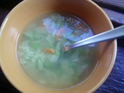 Domaća povrtna juha