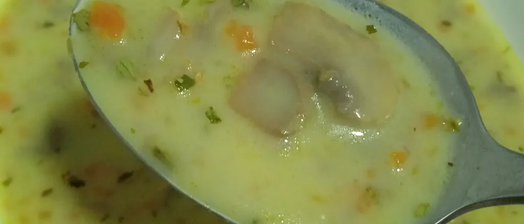Krem supa od pecurki