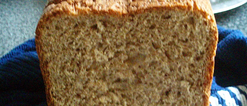 Integralni kruh iz pekaca