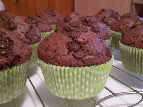Chocolate Chip Muffins by renci11