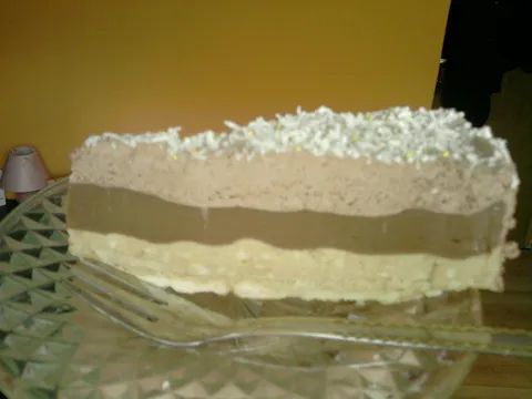 Nepecena cokoladna torta