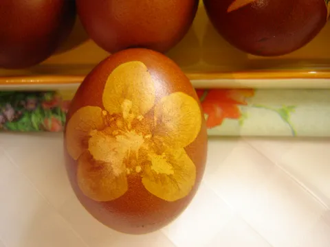 prirodno bojana jaja sa cvijetom jabuke