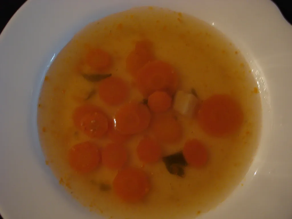 obična juha od povrća