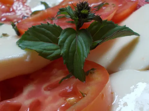 Salata Caprese by coolinarika