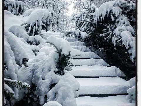...Walking in a winter wonderland ...