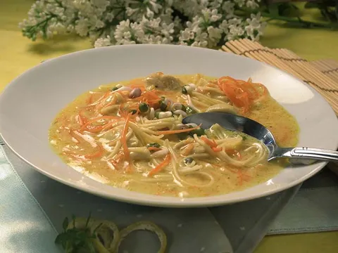 Malezijska pileća juha