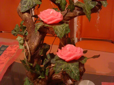 Adventska ruža stablašica