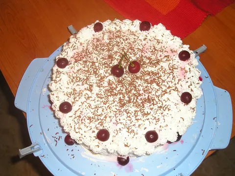 moja rođendanska torta :-)