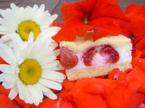 Bijelo &#8211; crvena pita sa sirom i trešnjama