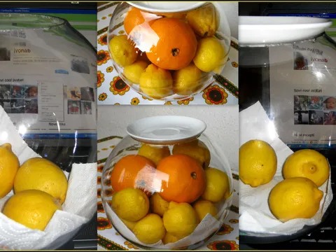 Naranče i limuni u vazi...