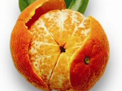 mandarine, najbolje voće iz moga kraja neretve :)