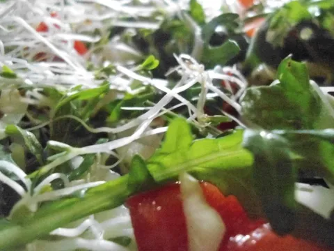 "Cupava" salata