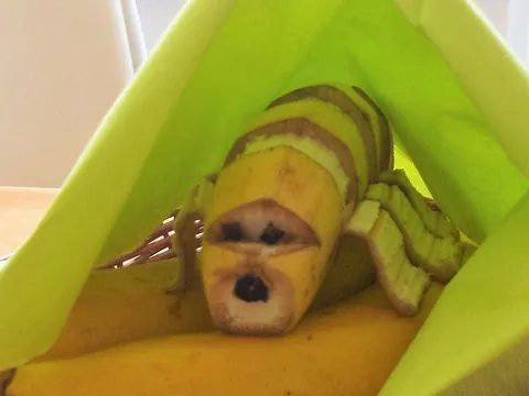 Banana-moćna hrana