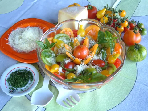 Dedina šarena salata