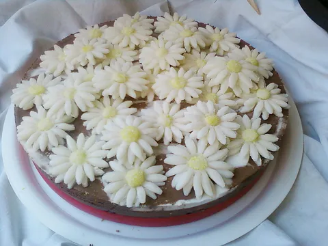 Belo cokoladna torta by dianamakarska