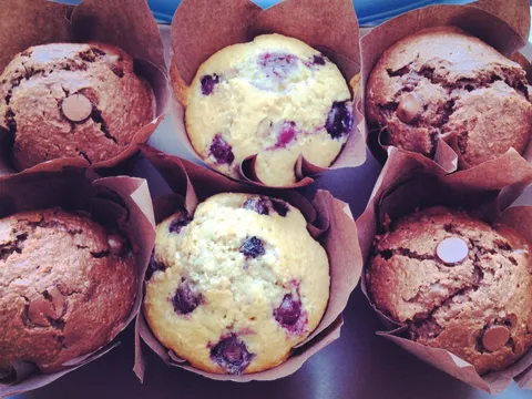 Double chocolate chip muffins & Blueberry muffins