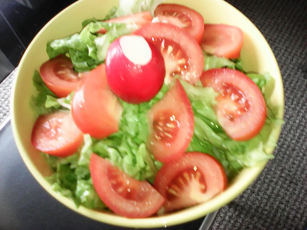 Proljetna salata