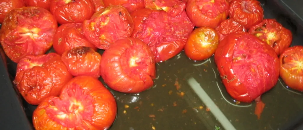 Zimnica paradajz