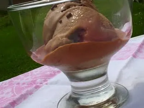 čokoladni ultrabrzi sladoled