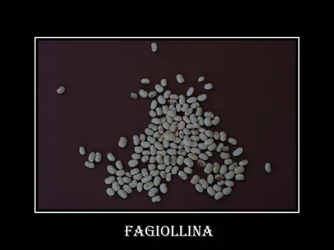 fagiollina