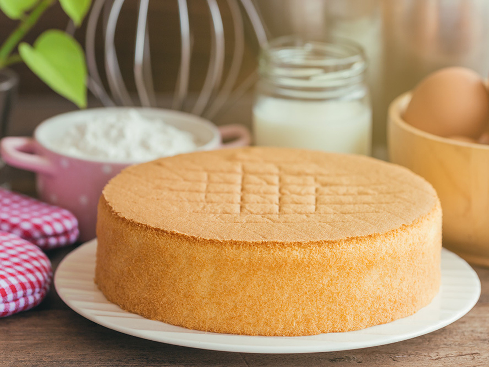Большой круглый торт. Спонж кейк бисквит. Воздушный бисквит для торта. Круглый бисквит. Пышный бисквит.
