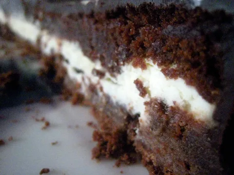 cokoladna torta by sefica