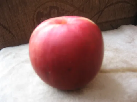Sok od jabuka sa medom