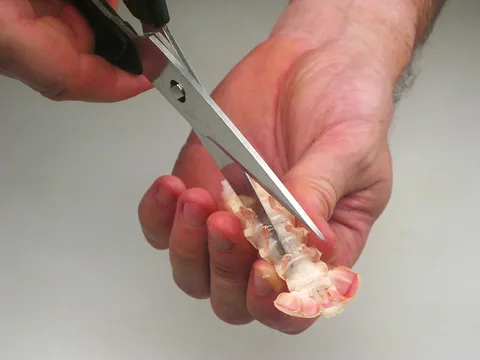 Odvajanje kuhanog mesa škampa od oklopa