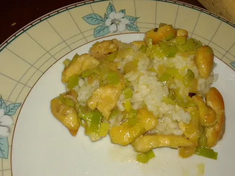 Piletina -poriluk -wok - Sanja 76