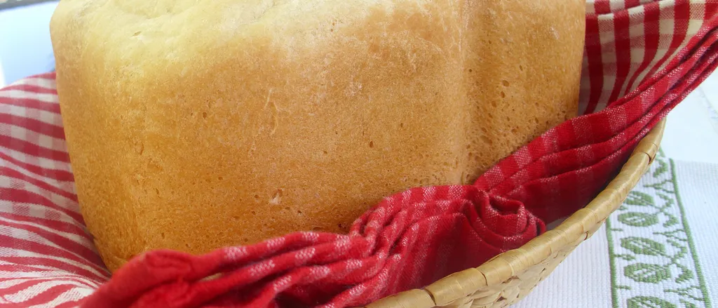 Kruh pekac