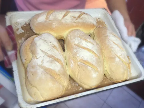 Domaci hleb