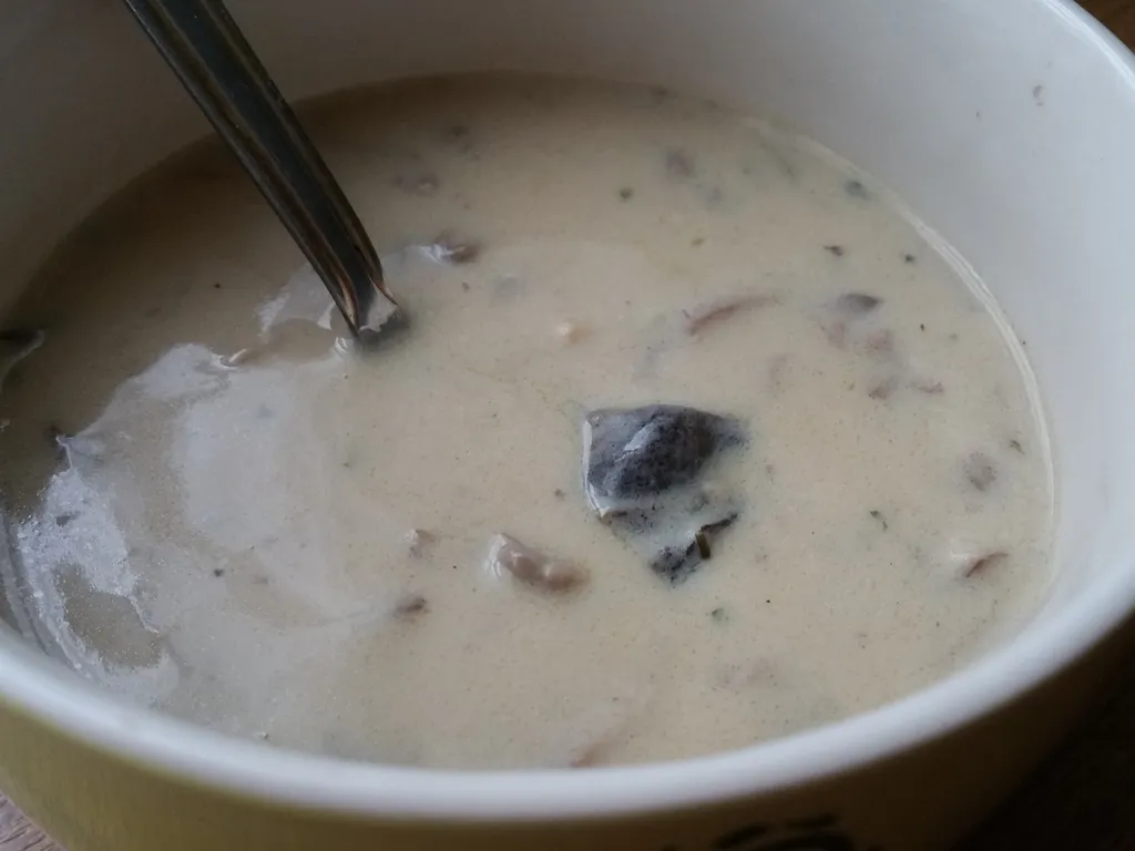krem supa sa sampinjonima i siitake gljivama