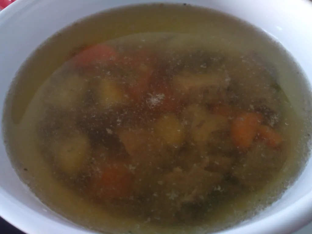 Bistra juha od divljači