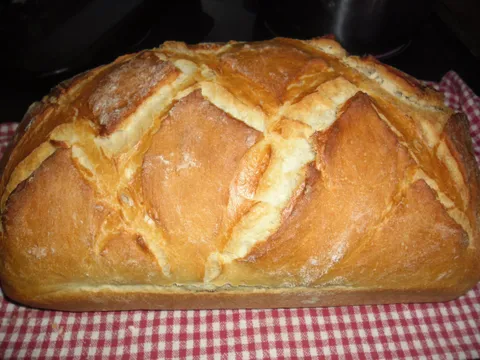 Domaci kruh  :)