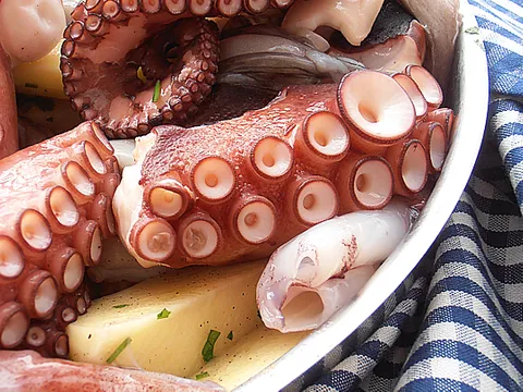 Hobotnica ispod peke ;)