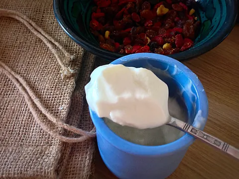 Domaći jogurt (bez aparata)