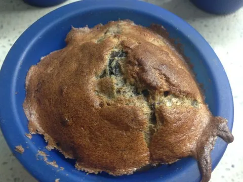Slani muffins sa heljdom i gljivama