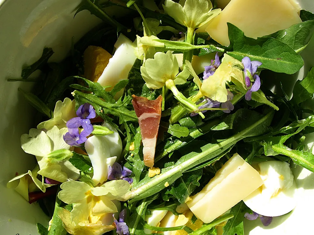 ღ Šarena proljetna salata
