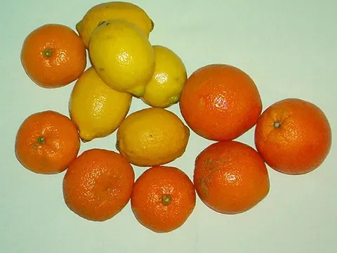 Srpsko voće