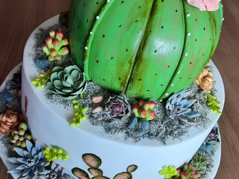 Kaktusi i sukulenti