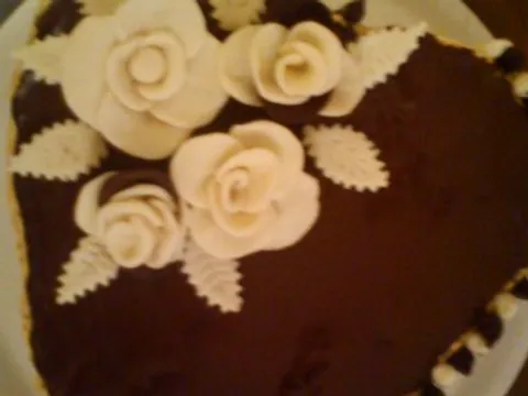 Cokoladna torta sa visnjama