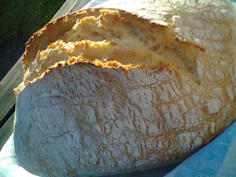 kruh sa kvasom iz serpe