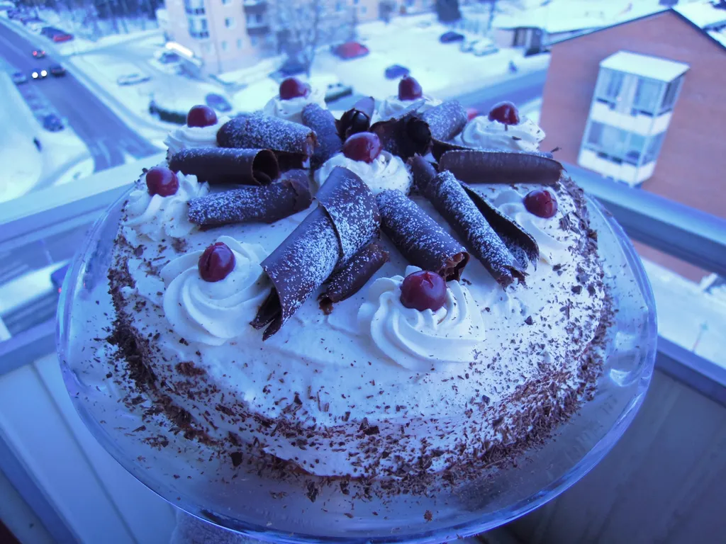 Cokoladna torta s visnjama (kao u "Torte i to")