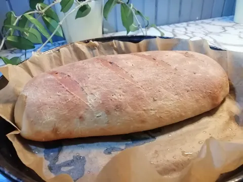 Kruh s bijelim grahom i okusom Dalmacije