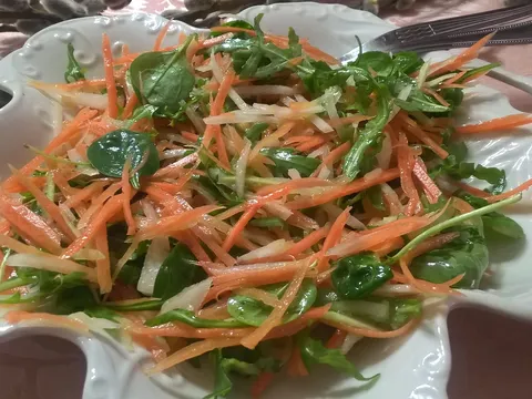 Šarena salata (rukola, bebi špinat, mrkva, koraba)
