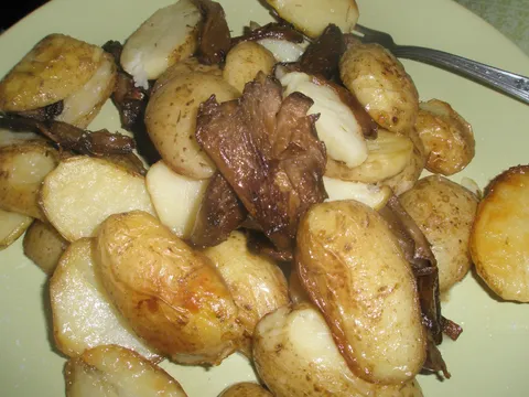 pečene bukovače s krumpirom by gorkasol