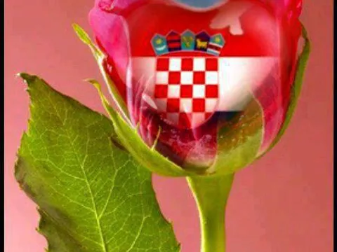 Srcu hrvatska u Hrvatska U