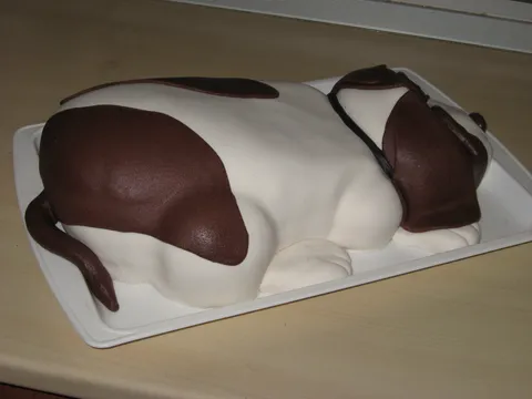 Kuca - torta za sutrasnji rodjendan